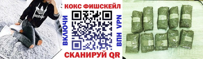 Купить где  Игарка  COCAIN Columbia 