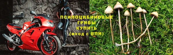 спиды Заволжск